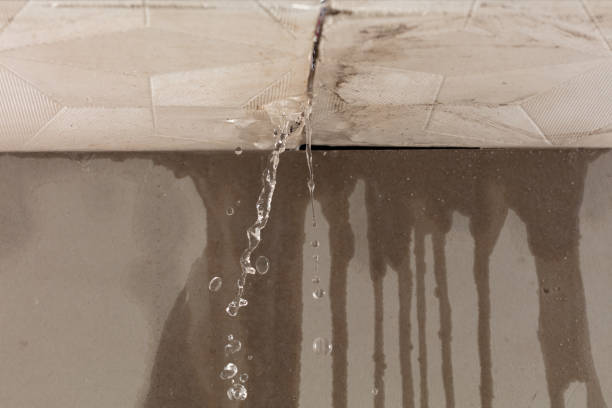 Professional Water Extraction technician working in Falkland, NC